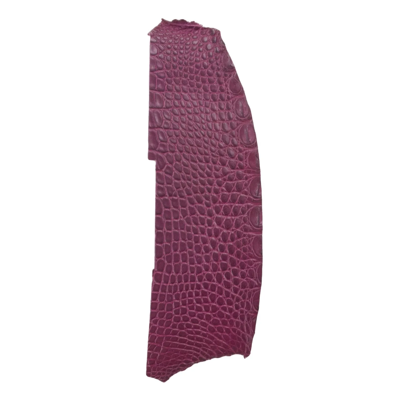 Alligator Skin Flank Various Colors Genuine Hide