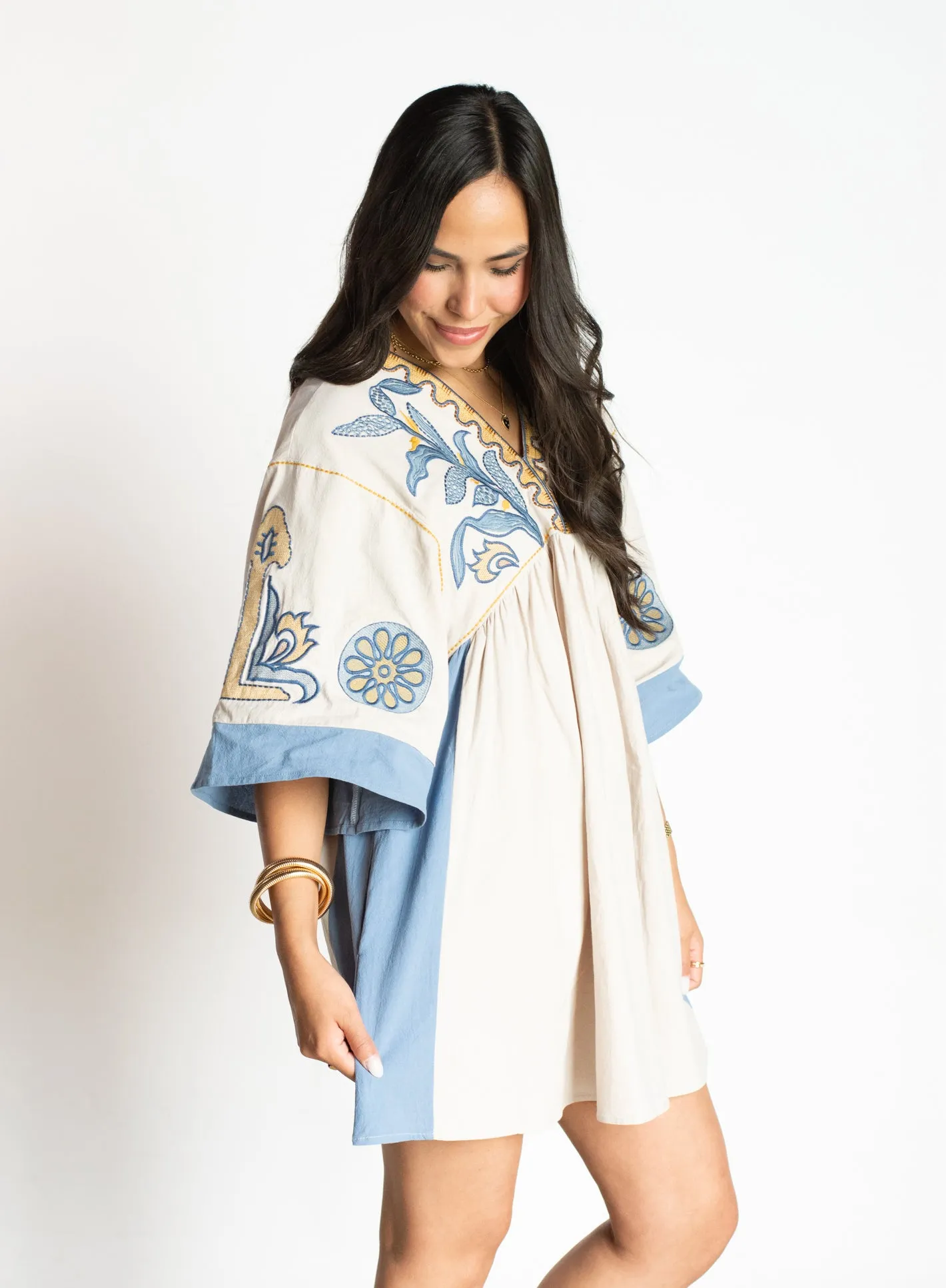 PRE-ORDER: Charming Presence Blue Embroidered Dress