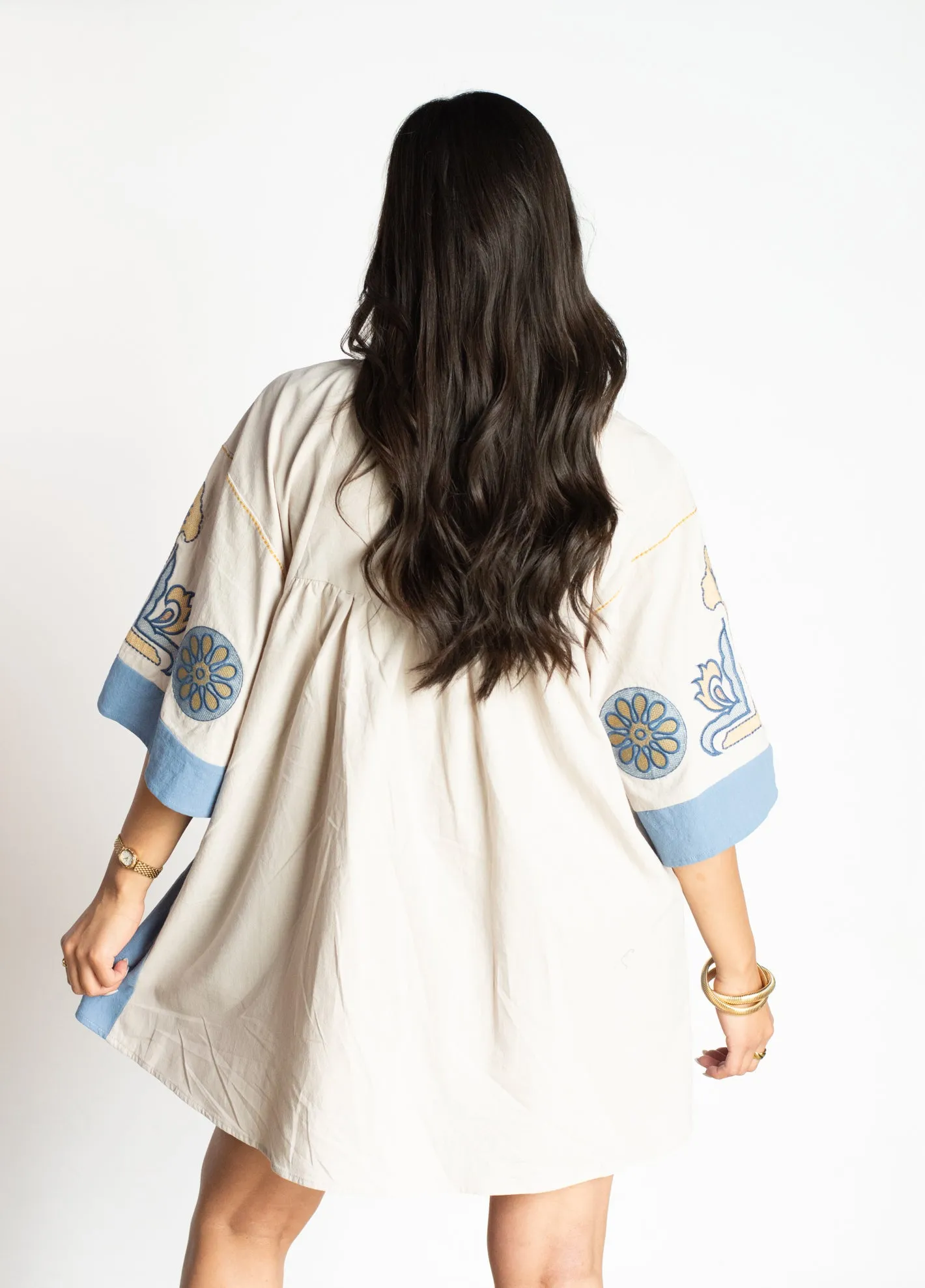 PRE-ORDER: Charming Presence Blue Embroidered Dress