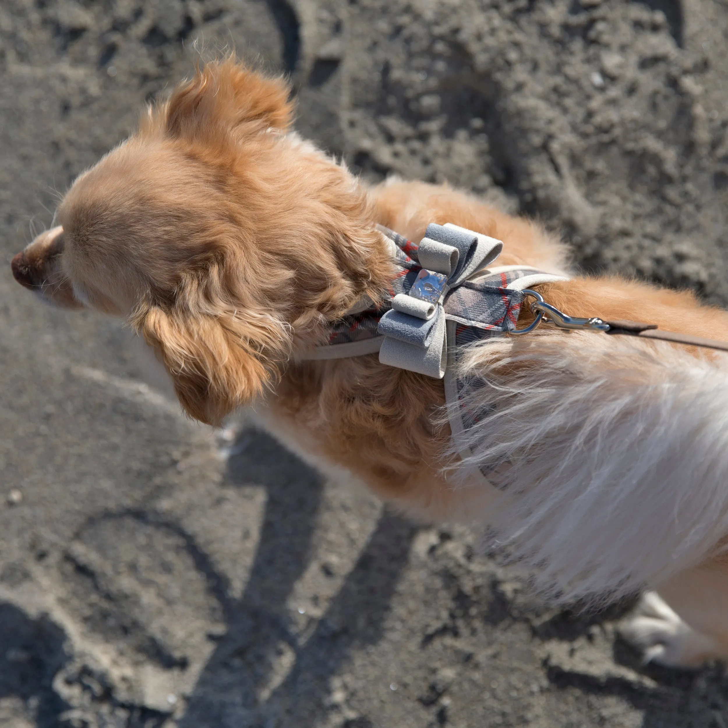 Scotty Plaid Really Big Bow Tinkie Harness with Doe Trim